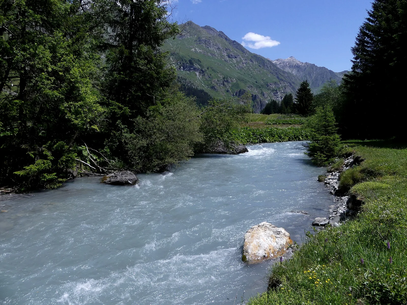 Doron de Champagny stream flowing through Champagny-le-Haut upper valley in summer