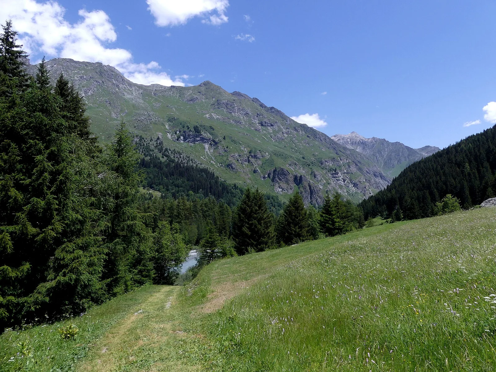 Hiking path on the east side of Champagny-le-Haut valley in summer